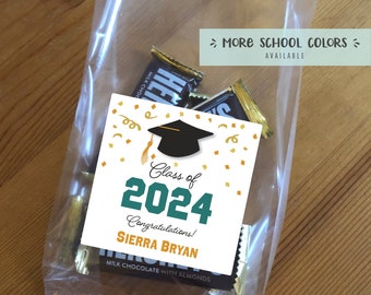 2024 Graduation treat bags, grad favor, class of 2024, grad party, college graduate, high school grad, cello bag, square label - 12 bags