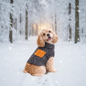Puede incluir: Un perro Cocker Spaniel marrón claro con un suéter de punto gris con un parche cuadrado naranja, sentado en la nieve. El perro está en un bosque nevado con copos de nieve cayendo. El perro está mirando a la cámara con la lengua fuera.