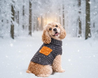 Patrón de suéter para perro en PDF / Suéter acogedor para mascotas / Ropa para perros DIY para principiantes / Traje cálido para cachorros / Descarga digital