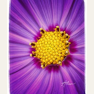 Cartes de correspondance florales violettes et jaunes