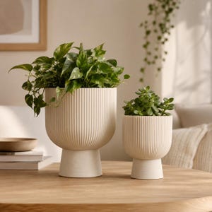 May include: Two off-white ceramic planters with a vertical ribbed texture and a pedestal base. The larger planter holds a trailing green pothos plant, while the smaller planter contains a compact succulent with thick, rounded green leaves.