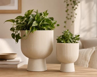 Può includere: Due vasi in ceramica color bianco sporco con una texture a coste verticali e una base a piedistallo. Il vaso più grande contiene una pianta pothos verde ricadente, mentre il vaso più piccolo ospita una succulenta compatta.