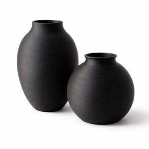 Pu&ograve; includere: Due vasi in ceramica neri. Uno &egrave; alto e di forma ovale, l'altro &egrave; rotondo. Entrambi hanno una finitura opaca e un design semplice ed elegante. I vasi sono adatti per l'arredamento della casa e composizioni floreali.