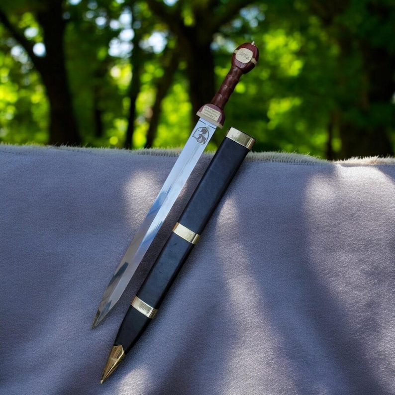 K&ouml;nnte beinhalten: Ein r&ouml;misches Gladius-Schwert mit polierter Stahlklinge und braunem Griff. Das Schwert ist teilweise in einer schwarzen Scheide mit goldfarbenen Akzenten verstaut. Der Hintergrund ist eine verschwommene Ansicht von gr&uuml;nen B&auml;umen.
