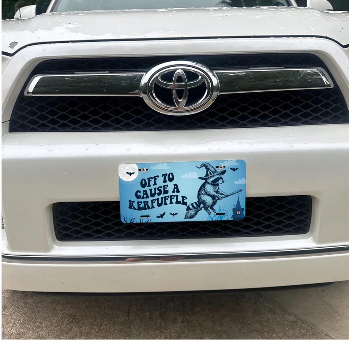 Funny Front License Platenull