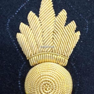 May include: Close-up of a gold-colored embroidered emblem on a dark blue fabric. The emblem features a circular base with a spiral design and a stylized leaf-like top. The text "EVOCHICSMG" is visible.