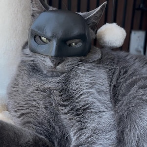 Bat Cat Mask - Customizable Color!