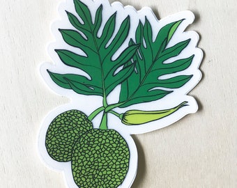 Breadfruit ('Ulu) Vinyl Sticker