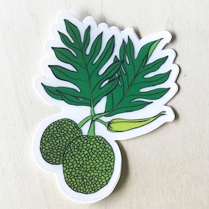 May include: A sticker featuring a green illustration of a breadfruit tree with two green breadfruits and a single yellow flower.