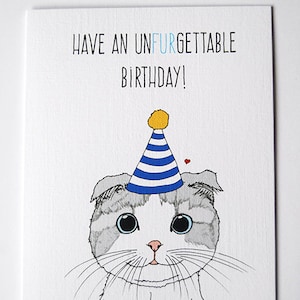Have an UnFURgettable Birthday- Cat Card