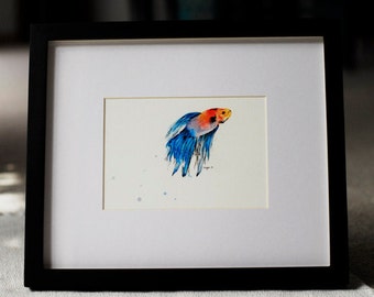 Fighting Fish (Betta)- 5x7 Print