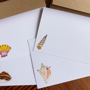 Può includere: Set di tre biglietti vuoti con illustrazioni di conchiglie. I biglietti sono bianchi con una superficie testurizzata. Le conchiglie sono una capesanta gialla e rosa, una conchiglia marrone e bianca e una conchiglia a spirale marrone e bianca.