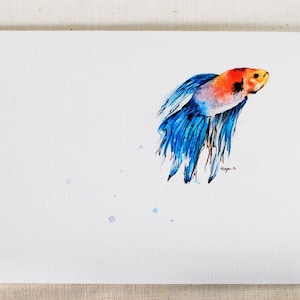 Fighting Fish (betta) - Carte vierge