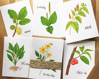 Lāʻau Lapaʻau Hawaiian Medicinal Plants- Greeting Card Set of 6