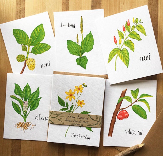 Lāʻau Lapaʻau Hawaiian Medicinal Plants Greeting Card Set of 6 - Etsy
