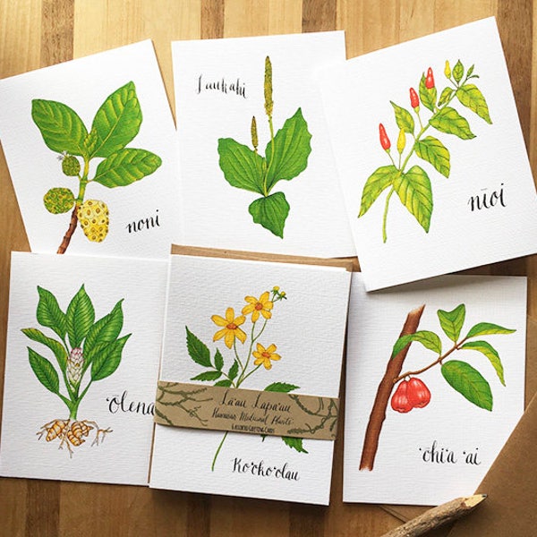 Lāʻau Lapaʻau Hawaiian Medicinal Plants- Greeting Card Set of 6