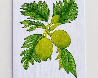 ʻUlu (Breadfruit) Card