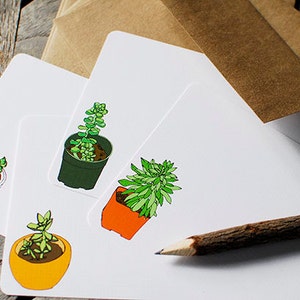 Succulent Flat Note Cards- Set of 8