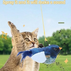 Peut inclure: Un chat tigré aux yeux écarquillés tend la patte vers un jouet en forme d'oiseau bleu et blanc. L'oiseau a des plumes bleues et un bec orange, suspendu à une ficelle jaune. Le texte dit "Patting the bird, Spray it and it will make a sound."