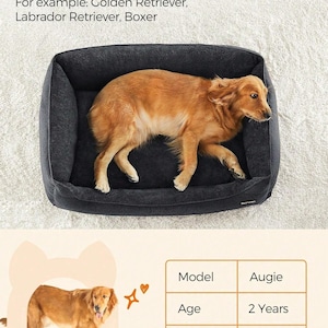 May include: A dark grey rectangular pet bed with a golden retriever dog inside. The text "Ideal for Pets up to 34 kg" is at the top. The dog bed is designed for breeds like Golden Retrievers, Labrador Retrievers, and Boxers. The model is Augie, 2 years old, and weighs 25 kg.