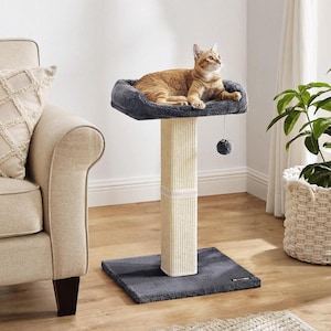 May include: A cat tree with a plush, gray bed and a sisal scratching post. An orange tabby cat is resting on the bed, looking up. A dangling toy hangs from the bed. The base and bed are gray, and the post is beige.