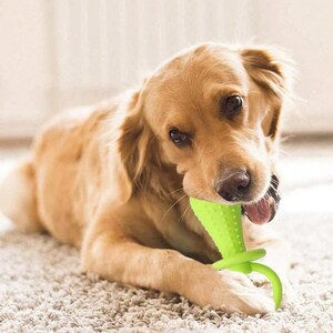 Realistic Sound Dog Toy - Bite Resistant Chew Toy for Small Medium Dogs - Teething Dental Training Pet Toy