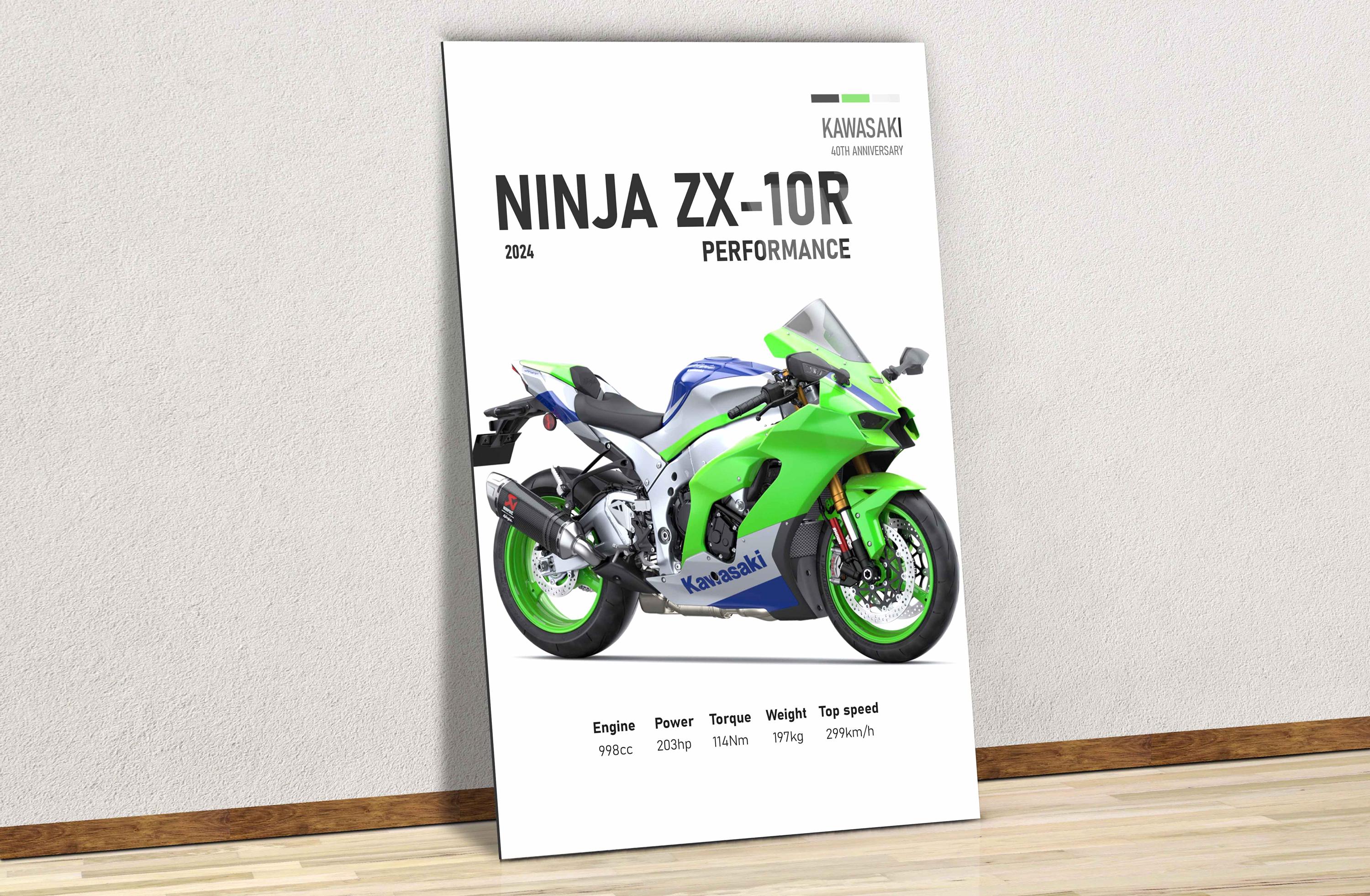 Kawasaki painting - Etsy Nederland