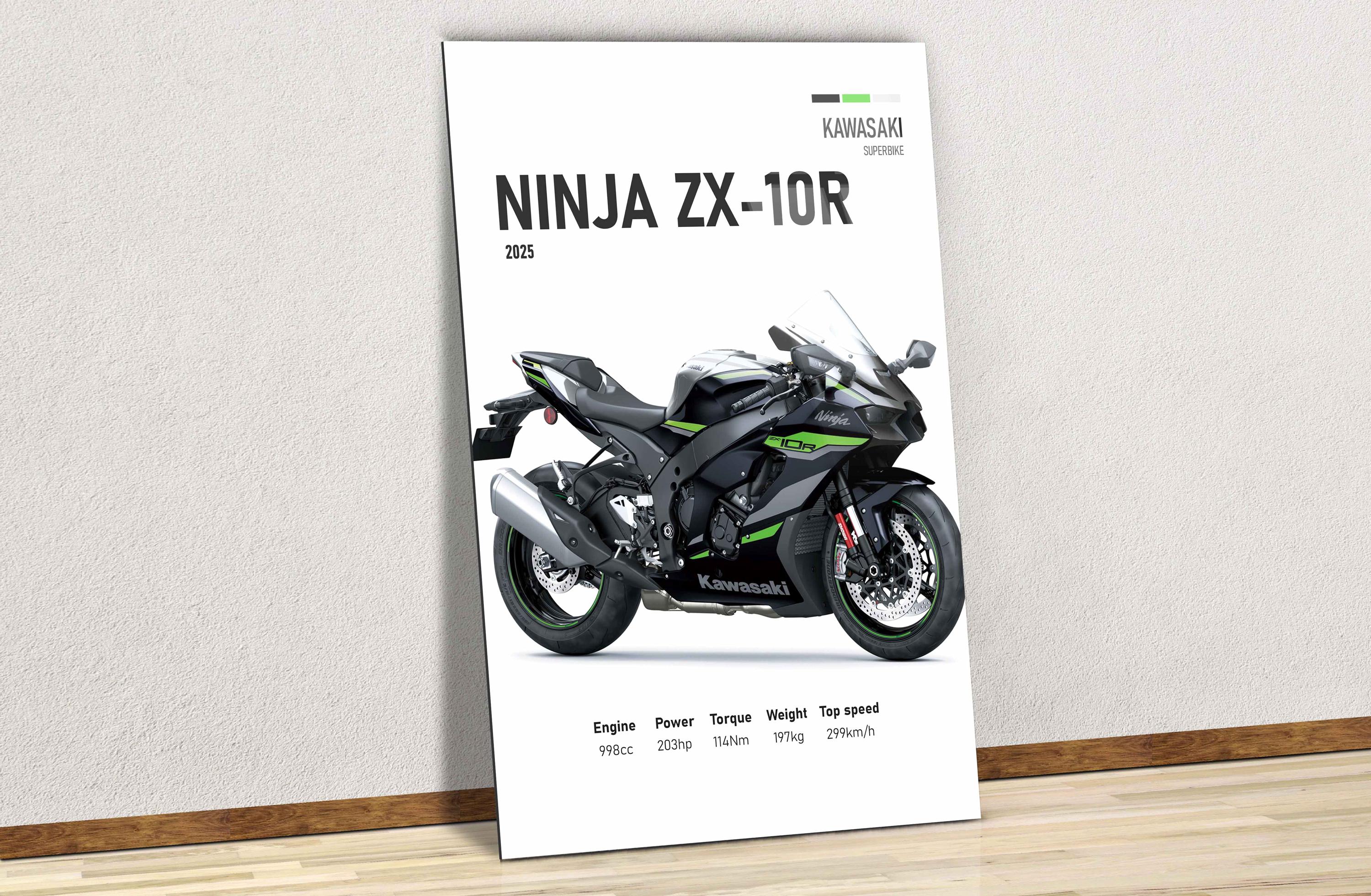 Kawasaki Ninja Zx 10r Gifts - 60+ Gift Ideas for 2026