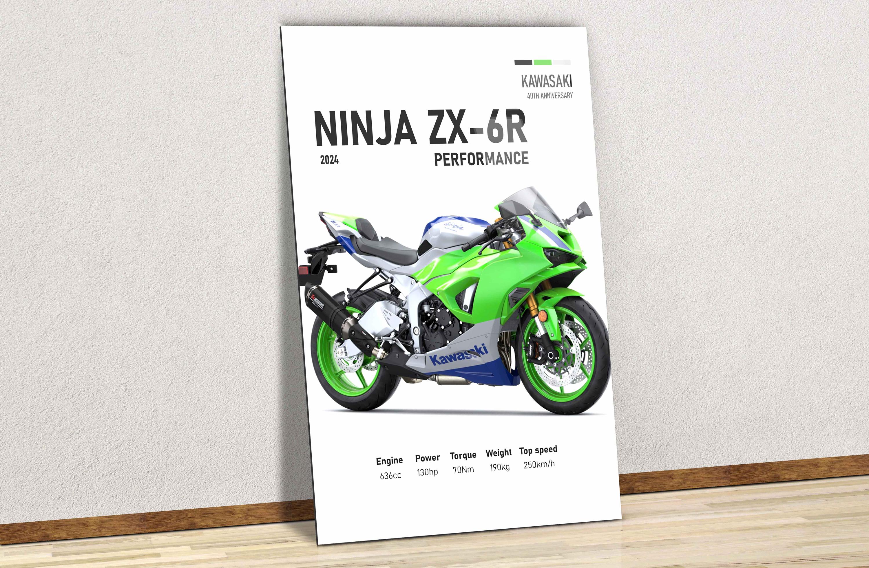 Kawasaki Ninja 40th Anniversary - Etsy