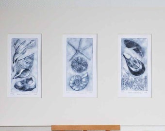 Original paintings and prints Seaside Studios by SeasideStudiosUK
