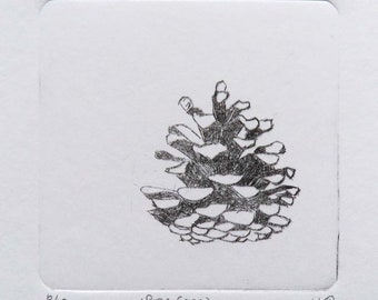 Original dry point print of a pine cone no.5, edition of 10 original etching print
