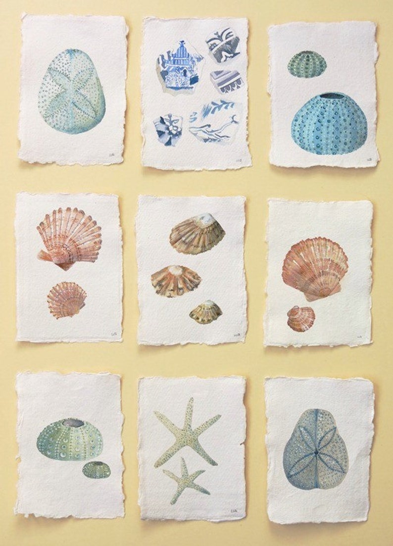 Sea Urchin Shell Original Watercolour Illustration Painting Etsy