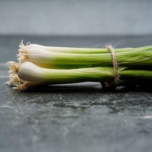 Evergreen Bunching - Onion Seeds