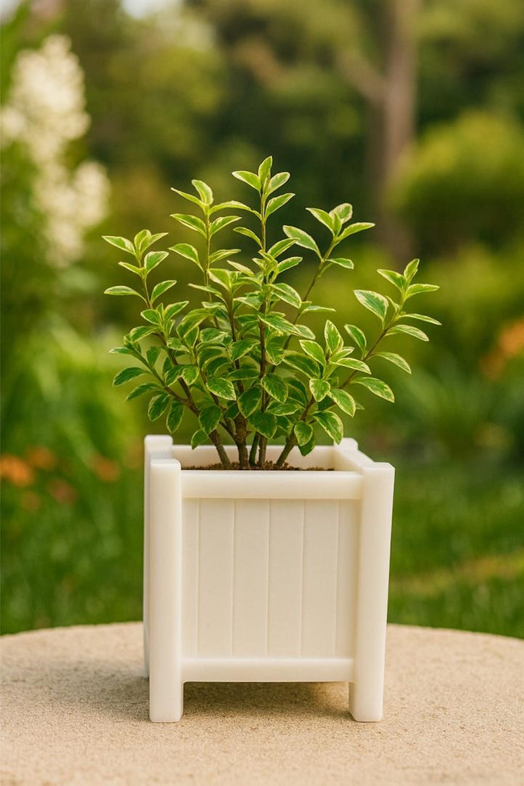 Mini Planter Box 1.12 Scale Miniature Planter Box (raw Finish) - Etsy