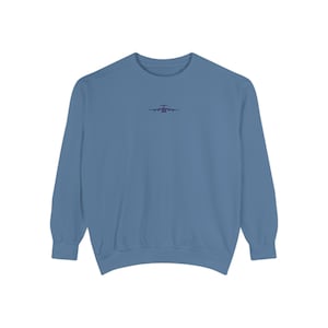 Tiny C-17 Embroidered Sweatshirt
