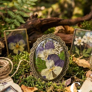 Spilla con fiore pressato vero, stile cottagecore, spilla in resina, stile fairycore, gioielli botanici, spilla in stile vittoriano, regalo per la festa della mamma per gli amanti della natura. immagine 10