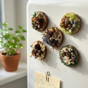 Dried Fruit Seed Magnets Real Botanical Kitchen Decor Cottagecore Rustic Organic Fridge Magnet Housewarming Gift Minimalist Earthy Pegs