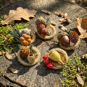Broche de Frutas Secas, Corsage Botânico Natural, Rústico, Terroso, Orgânico, Sementes, Alfinete para Jaqueta, Presente de Outono para Ela, Acessório de Lapela Estilo Floresta.
