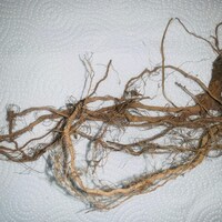 Organic Dried Mullein - 1 Oz - Etsy