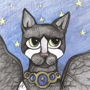 Tuxedo cat, Fantasy Angel Cat art, fantasy feline, big eyes, Tuxedo cat, Winged Cat, black and white, starry night