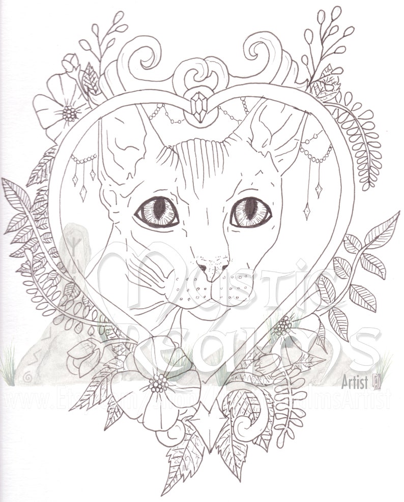 880 Hairless Cat Coloring Pages Download Free Images 880 Hairless Cat Coloring Pages Download Free Images