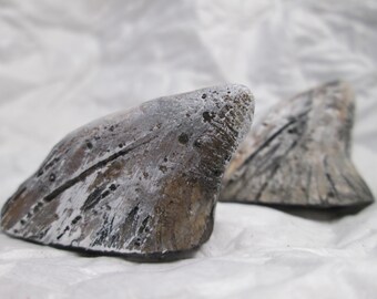 Handgeschilderde drakenhoorns: piepkleine kostuumhoorns