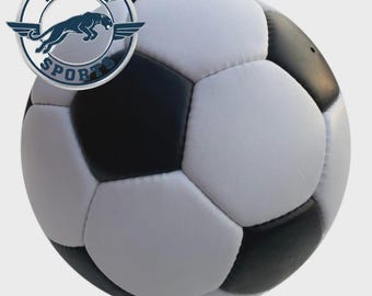Leder Football 32 Panel Gr.5 weiss & schwarz