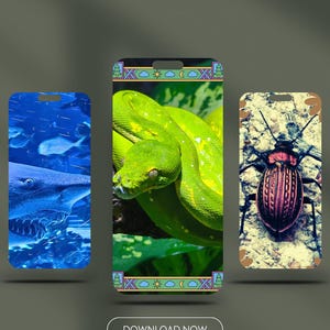 Wildlife & Nature Phone Wallpapers Pack | Shark, Snake, Jellyfish, Insect, Animals | Set of 5 Mobile Wallpapers | Digital Download