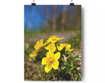 FLOWERS - Scandinavian Photography Art Print - ArtbyBearded