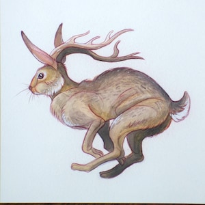 Lope Stop Believin' Jackalope Illustration Print