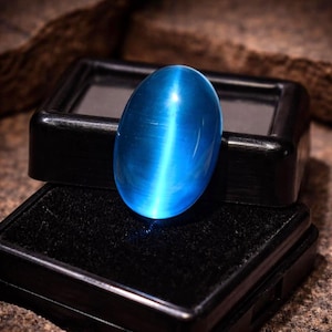 Può includere: Una gemma blu lucida di forma ovale con un pronunciato effetto di chatoyancy, che ricorda un occhio di gatto. La gemma è esposta in un cofanetto nero foderato di velluto, su uno sfondo neutro. Il colore della pietra è un blu vibrante e luminoso.