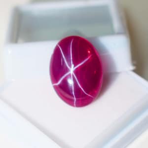 May include: A vibrant, oval-shaped, star ruby gemstone. The gem is a deep magenta color with a six-rayed star pattern in white. It is set against a white background inside a white plastic case.