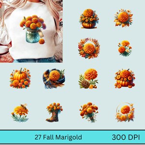 27 Fall Marigold Sublimations Clipart Bundles Autumn Fall Marigold Png Bundles Marigold Fall Pumpkin Png Marigold Flowers Png Bundles Fall