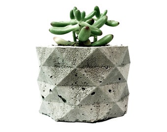 small concrete planter. modern geometric faceted pot for succulents, cacti, and air plants.